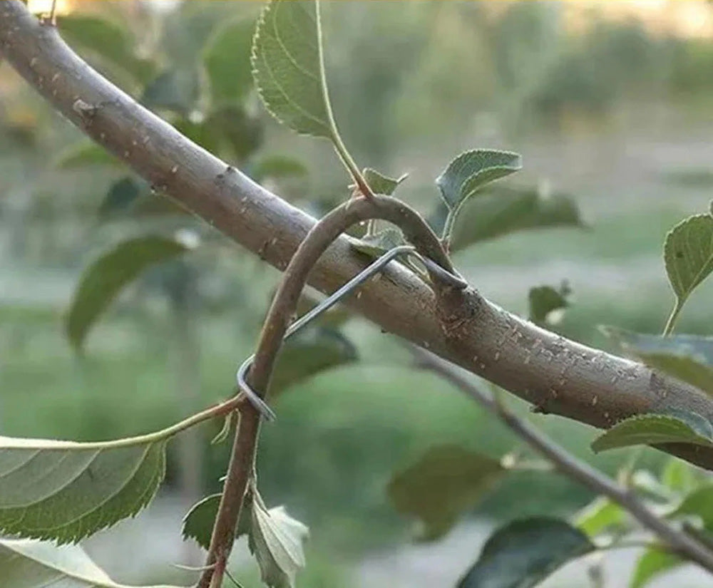 TreeTidy™ - Estabilizadores metálicos para las ramas de los arboles
