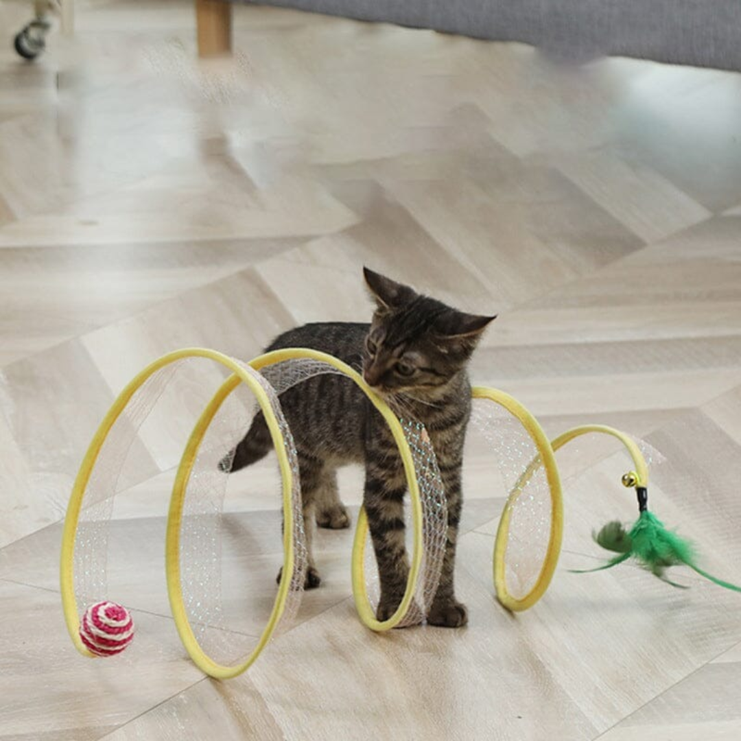 Túnel plegable para gatos