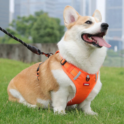 DogSafe™ Correa antitirones para perros