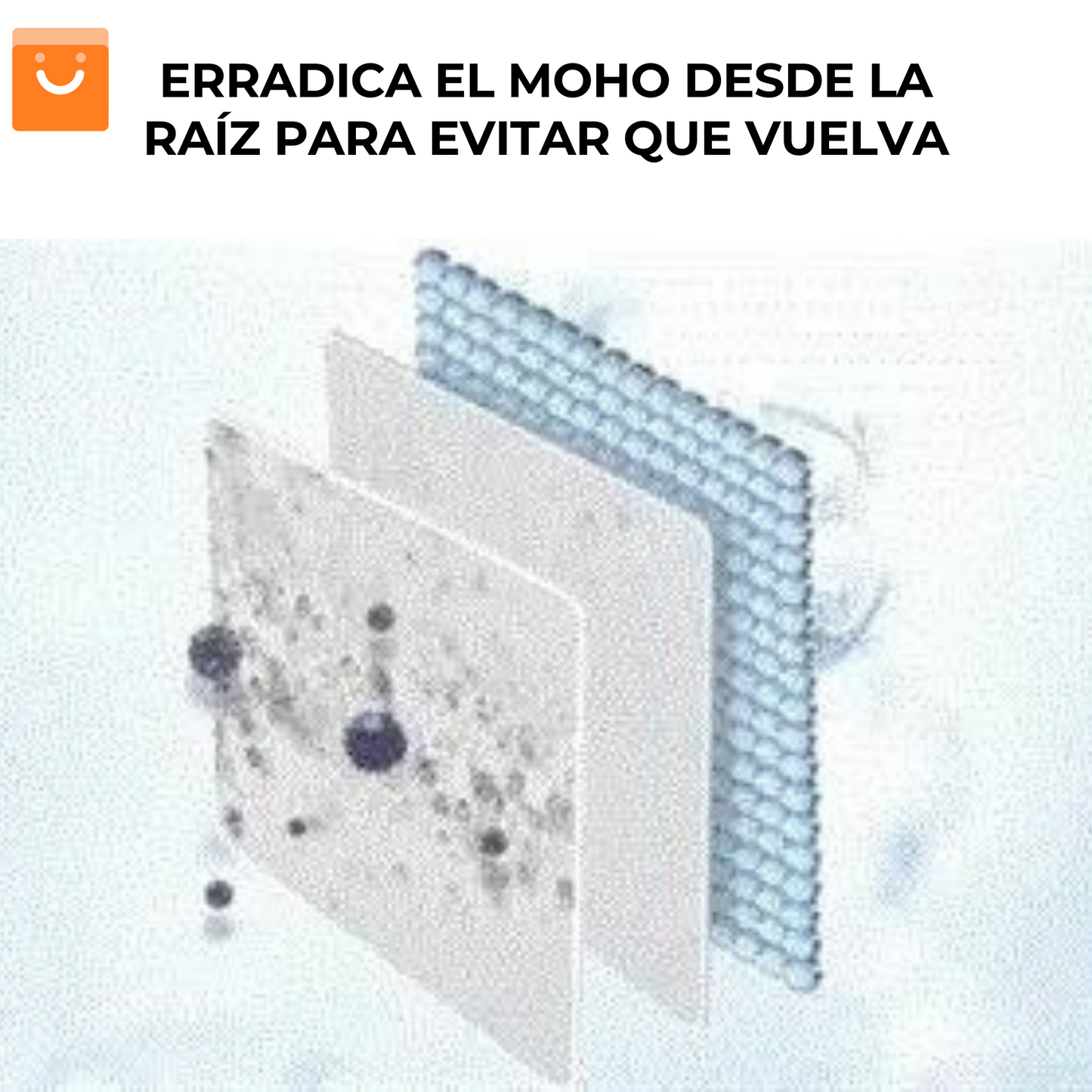 Oferta Black Friday MoldVanish™ - removedor de moho de múltiples superficies