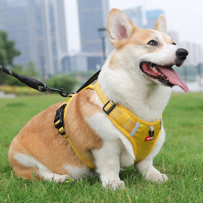 DogSafe™ Correa antitirones para perros