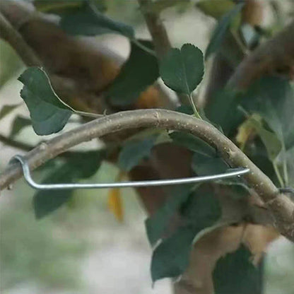 TreeTidy™ - Estabilizadores metálicos para las ramas de los arboles