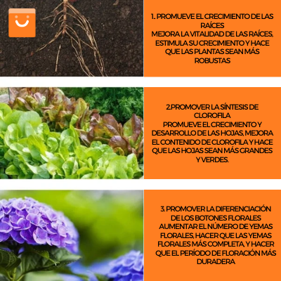 GreenBoost™ - Fertilizante orgánico en tableta