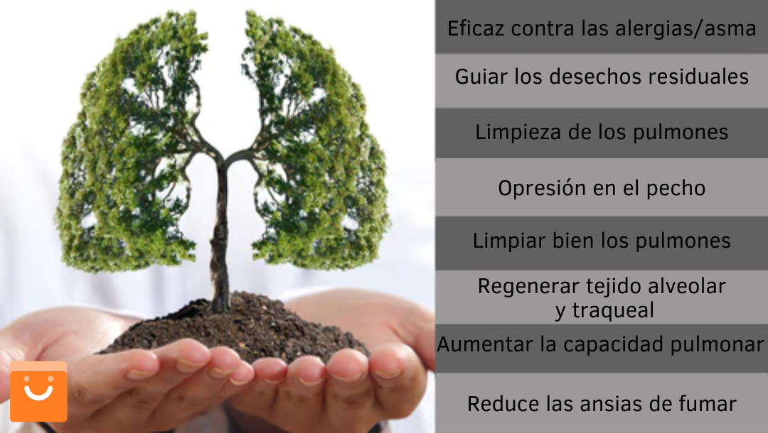 Oferta Black Friday OnNature™ - Spray de limpieza del sistema respiratorio en base a hierbas