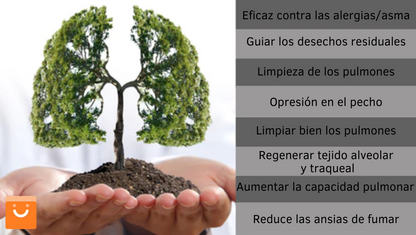 Oferta Black Friday OnNature™ - Spray de limpieza del sistema respiratorio en base a hierbas