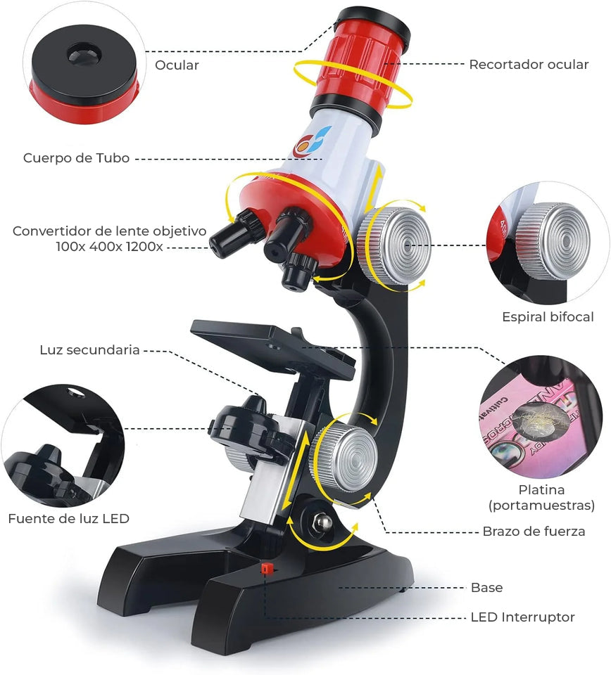 MicroWorld™ - Microscopio para niños