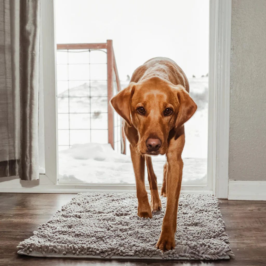 SpotlessPaws™ - Alfombra limpiadora para mascotas