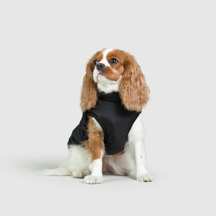 WinterPaws™ - Abrigo invernal para perros