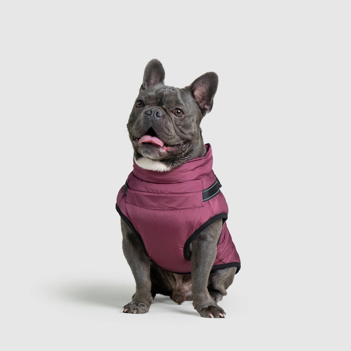 WinterPaws™ - Abrigo invernal para perros
