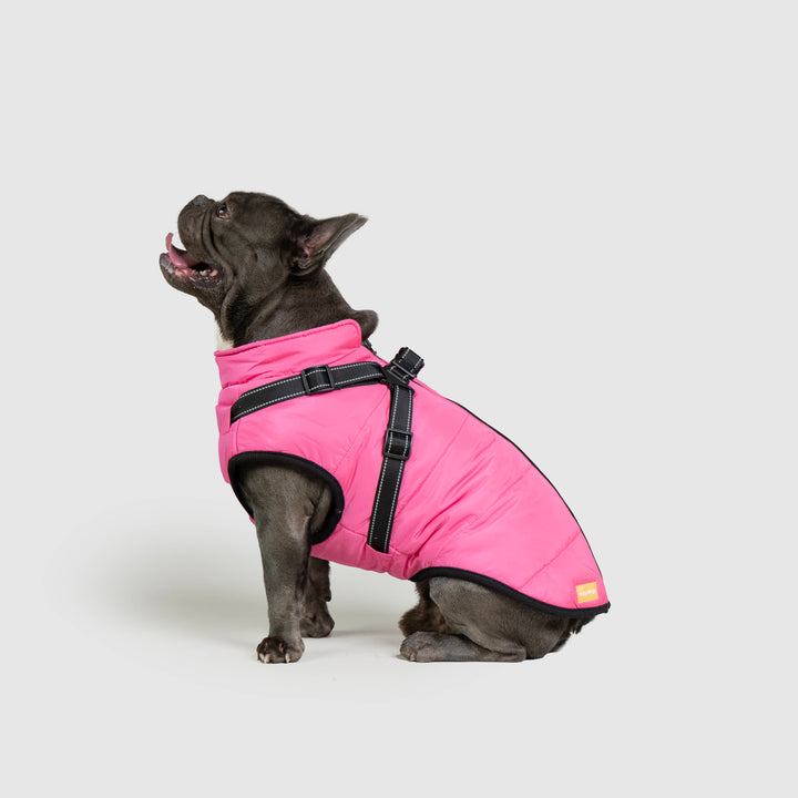 WinterPaws™ - Abrigo invernal para perros
