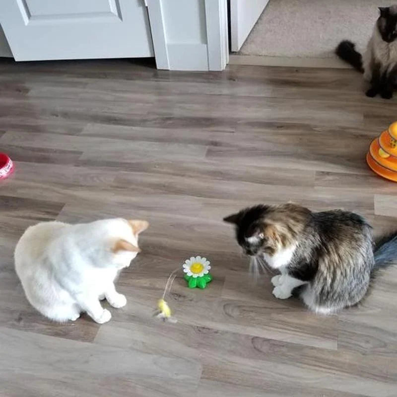 Flutter™ - Juguete interactivo para gatos