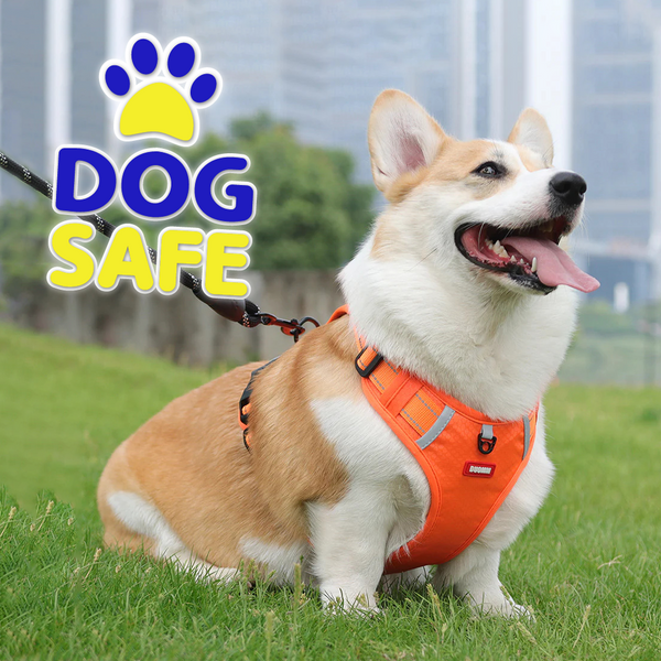 DogSafe™ Correa antitirones para perros