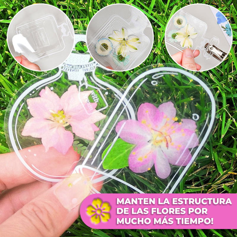 EverBloom™ - Postales para preservar flores y hojas