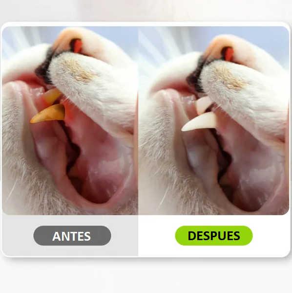 DENTALPET™ - MORDEDOR DENTAL PARA HIGIENE BUCAL