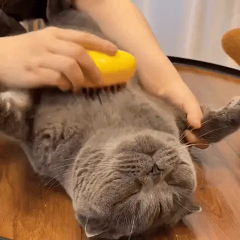 FURFRESH™ - CEPILLO 3 EN 1 DE VAPOR PARA GATOS