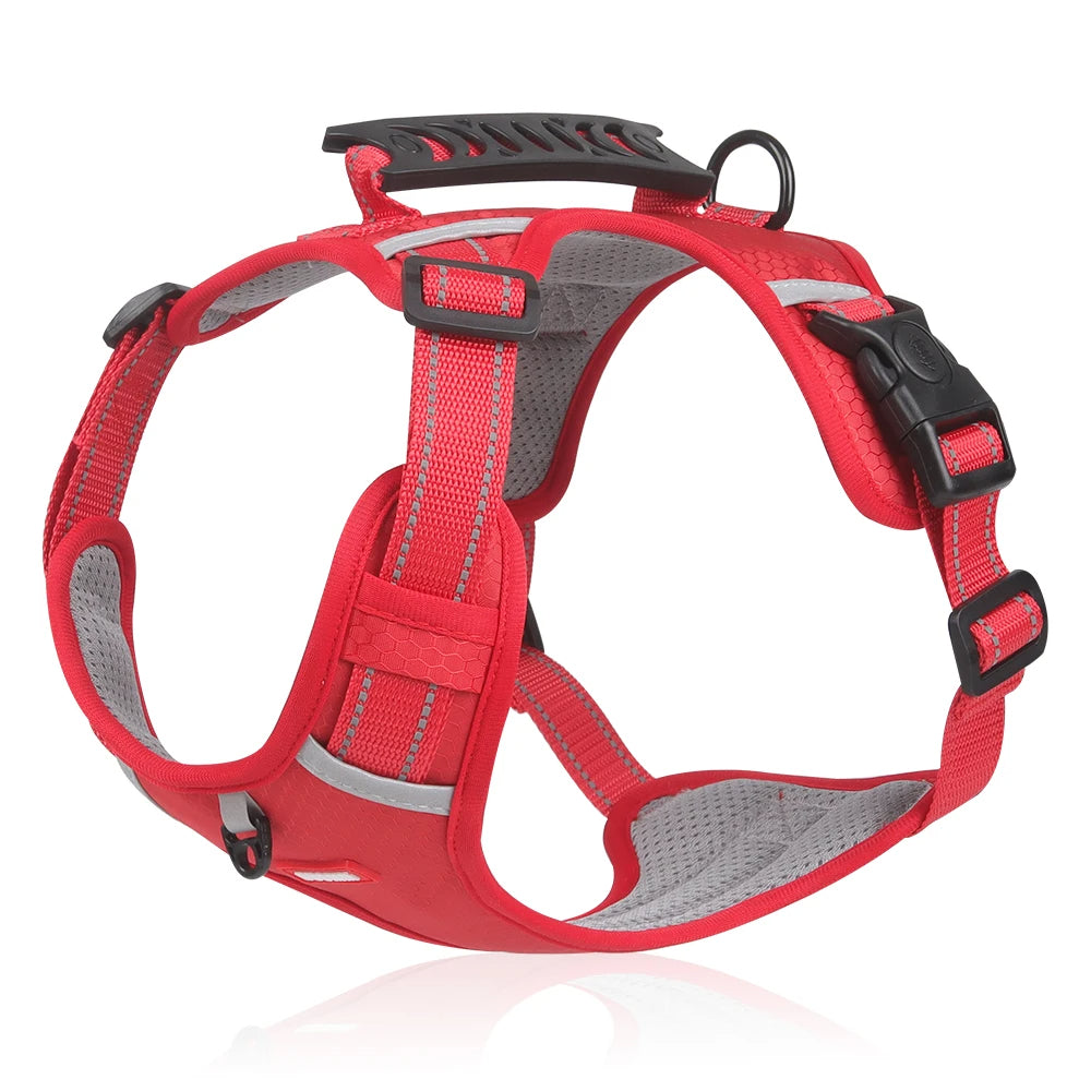 DogSafe™ Correa antitirones para perros