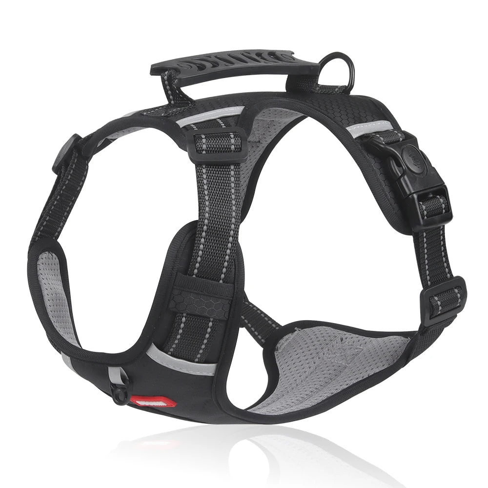 DogSafe™ Correa antitirones para perros
