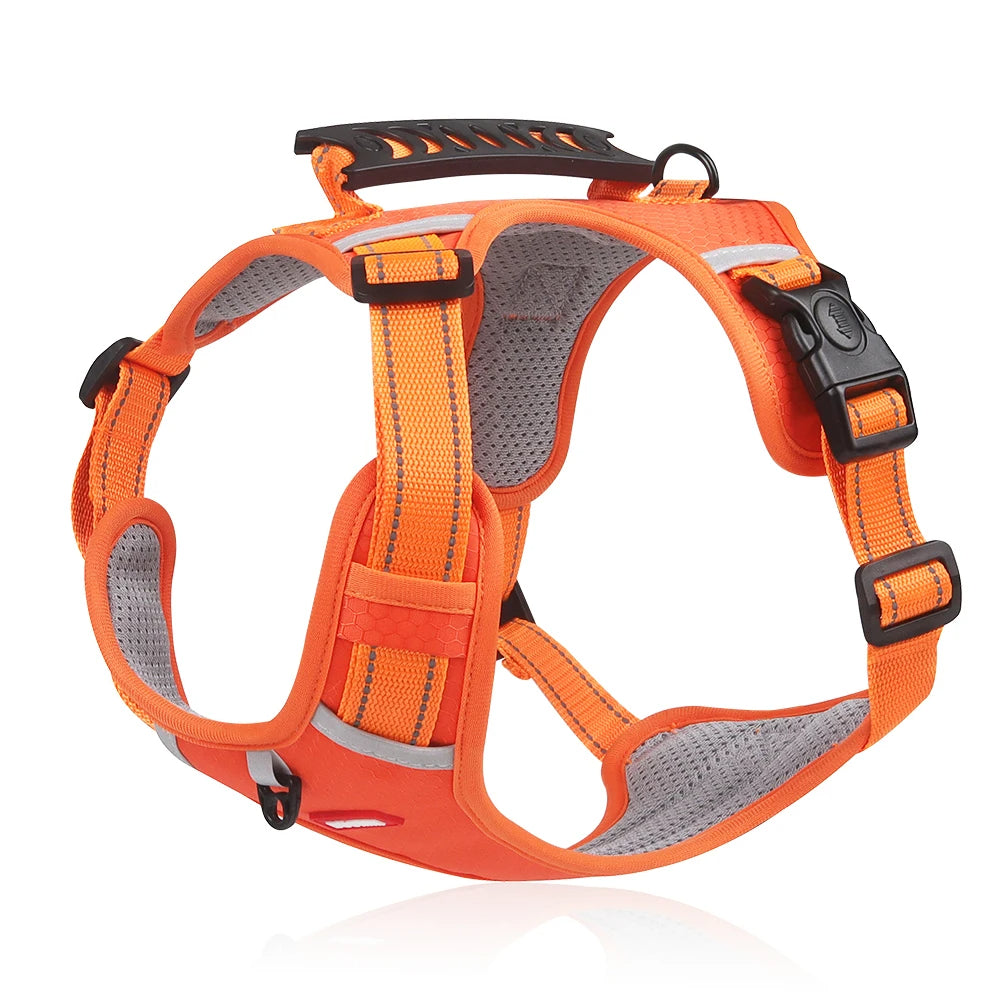 DogSafe™ Correa antitirones para perros