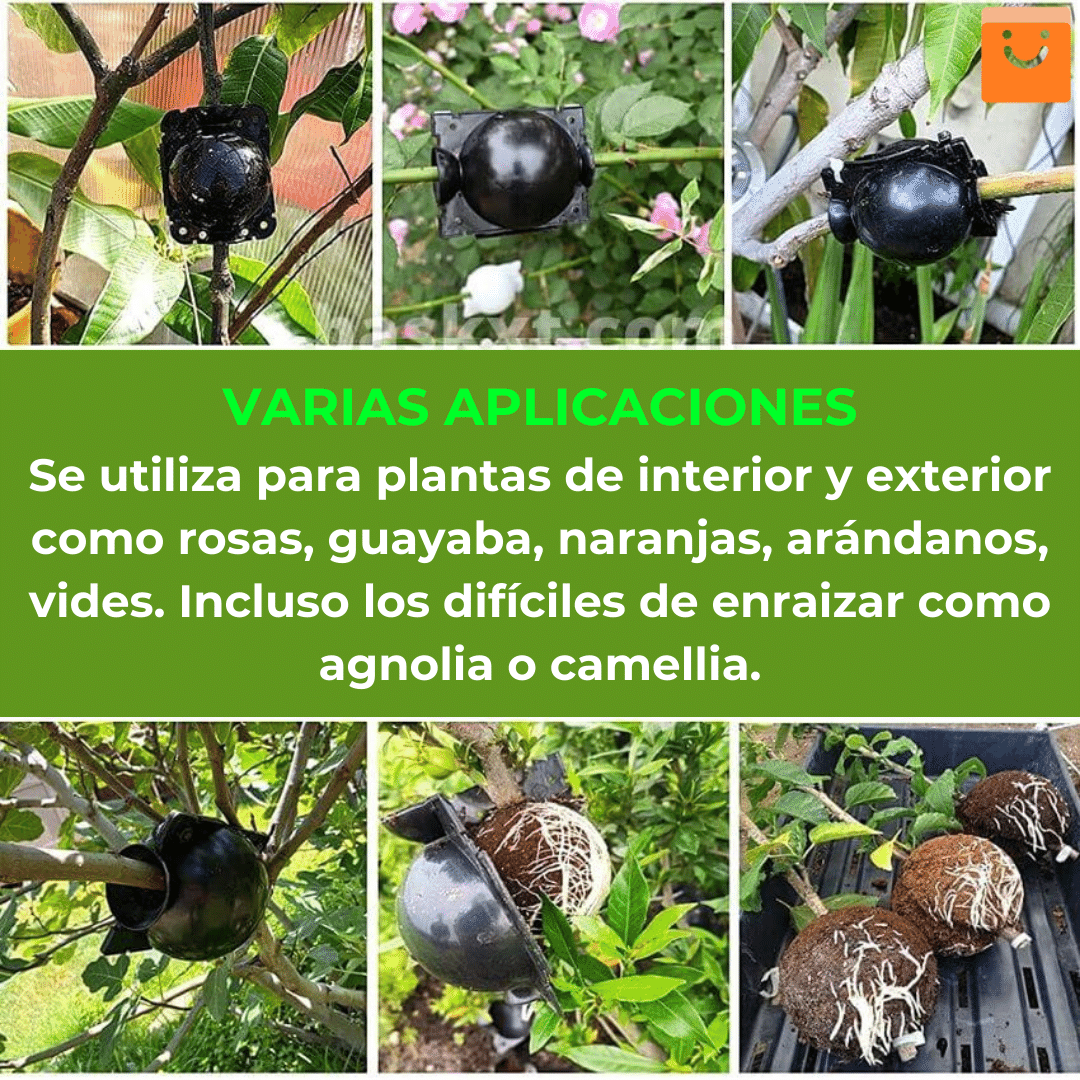 RootEasy™️ - Cultiva plantas rápidamente