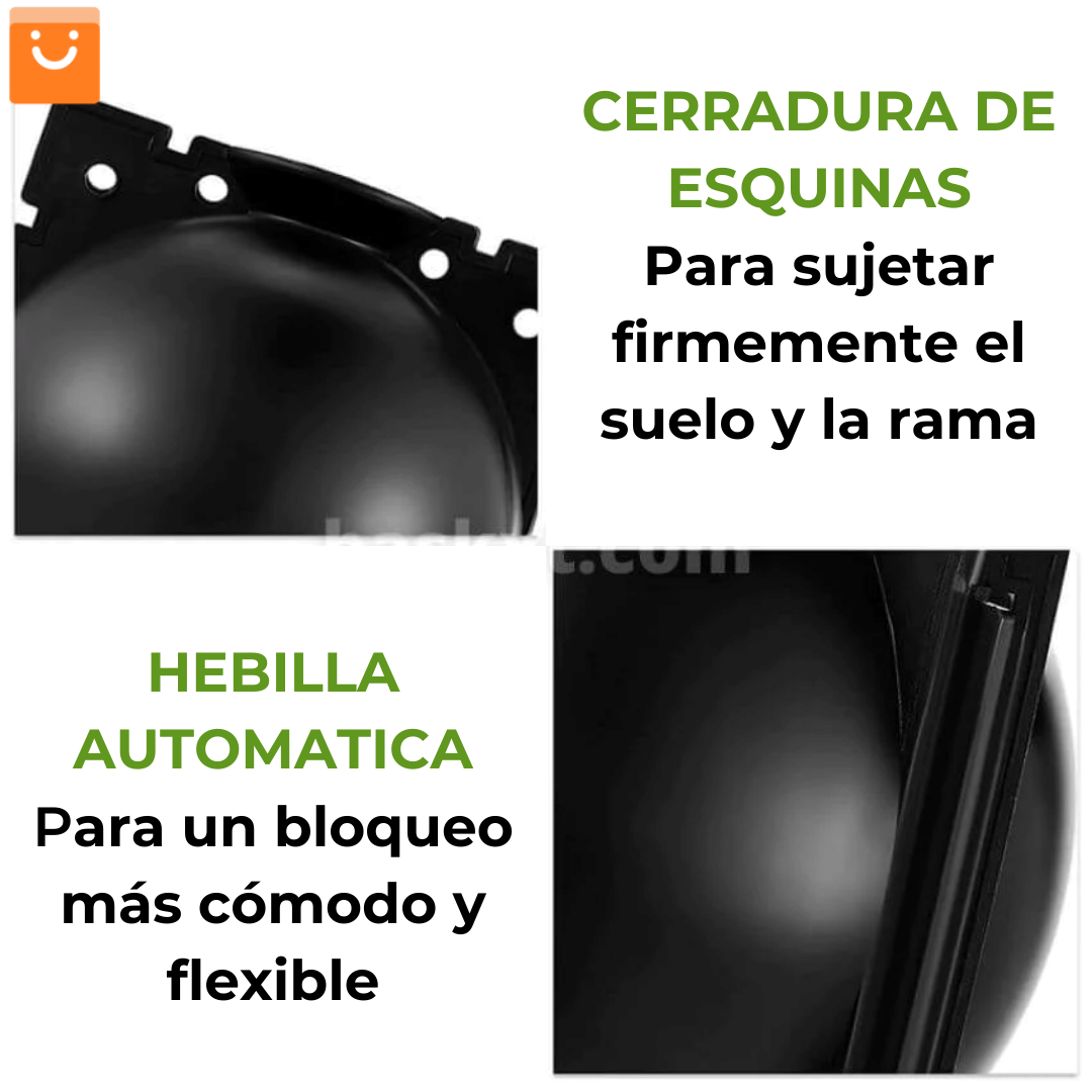 RootEasy™️ - Cultiva plantas rápidamente