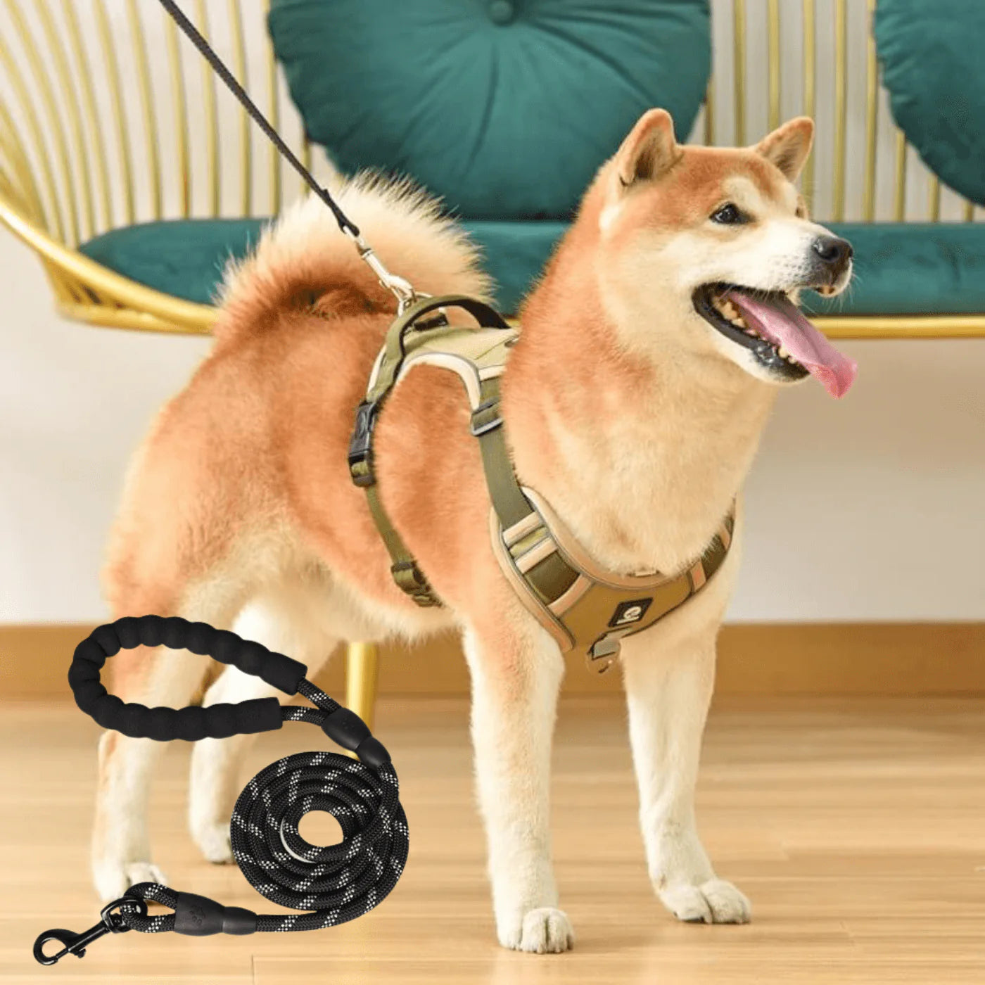 JollyWalk™ - Arnés anti tirones para perros