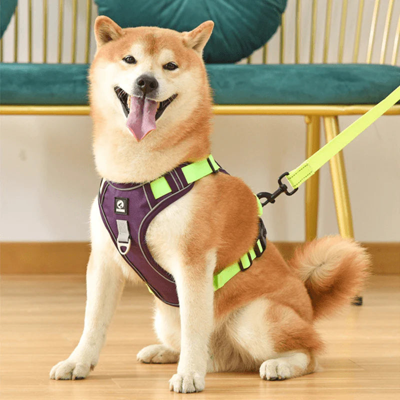 JollyWalk™ - Arnés anti tirones para perros