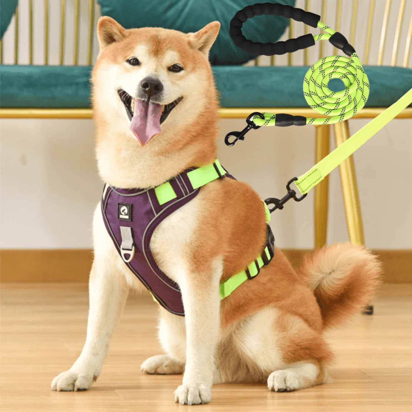 JollyWalk™ - Arnés anti tirones para perros